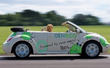 VW Beetle